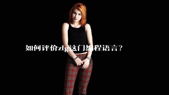 如何评价zig这门编程语言？