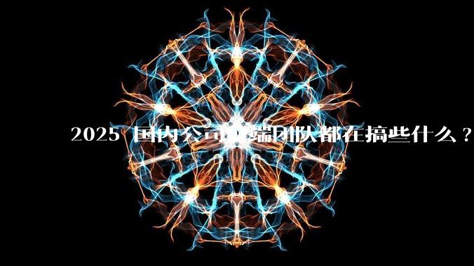 2025 国内公司前端团队都在搞些什么?