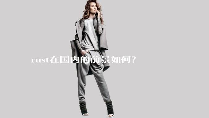 rust在国内的前景如何？