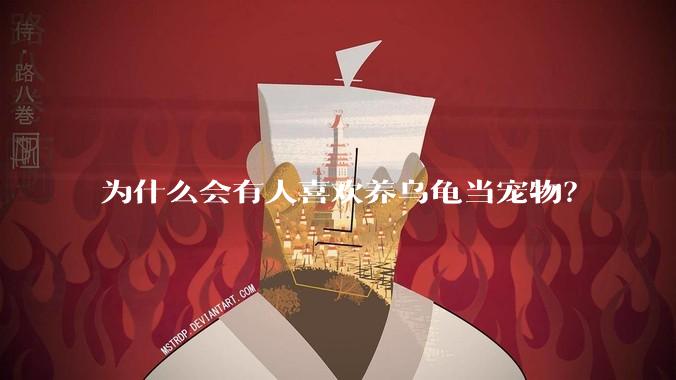 为什么会有人喜欢养乌龟当宠物？