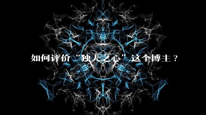 如何评价“独夫之心”这个博主?