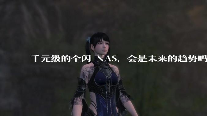 千元级的全闪 NAS，会是未来的趋势吗？