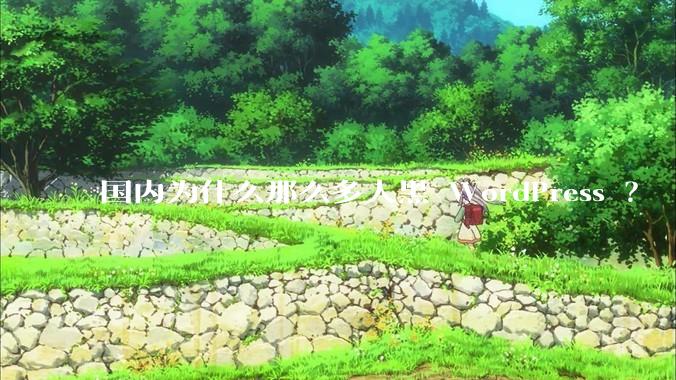 国内为什么那么多人黑 WordPress ？