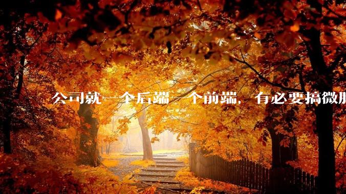 公司就一个后端一个前端,有必要搞微服务吗?