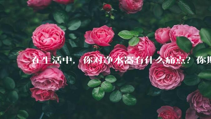 在生活中，你对净水器有什么痛点？你期待的净水产品是什么样子？