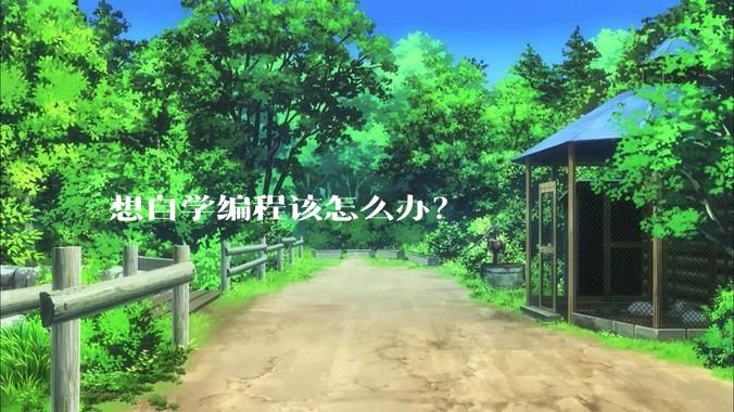 想自学编程该怎么办？