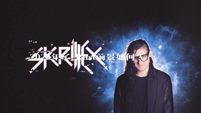 2025年了 Rust前景如何?