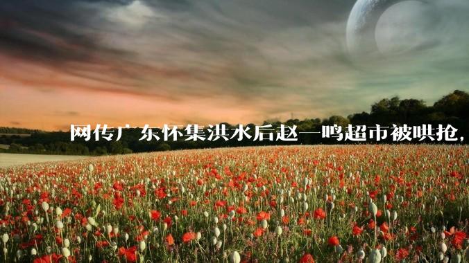 网传广东怀集洪水后赵一鸣超市被哄抢，县***回应相关单位正在核实，若属实哄抢者该承担哪些法律责任？