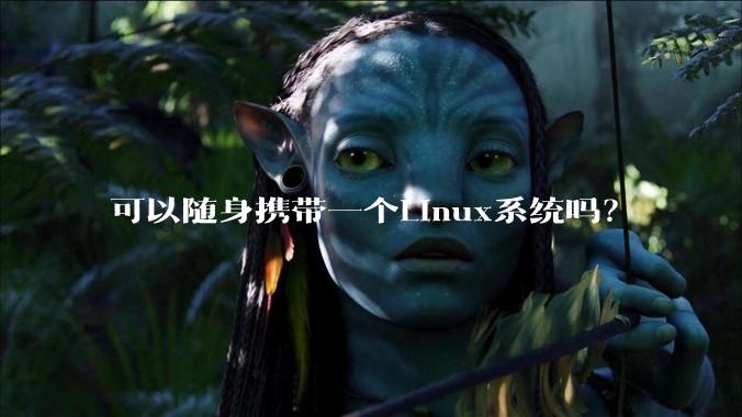 可以随身携带一个Linux系统吗？
