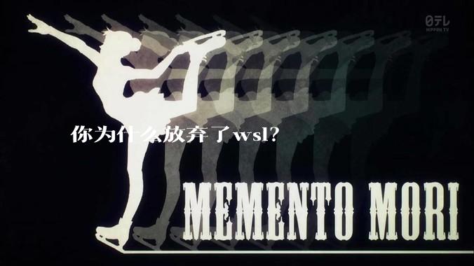 你为什么放弃了wsl？