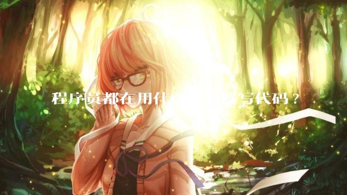 程序员都在用什么显示器写代码?