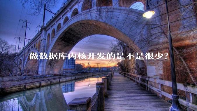 做数据库内核开发的是不是很少？