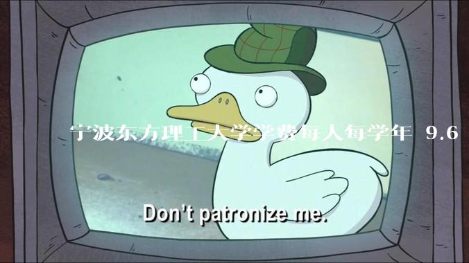 宁波东方理工大学学费每人每学年 9.6 万，为什么会这么贵？